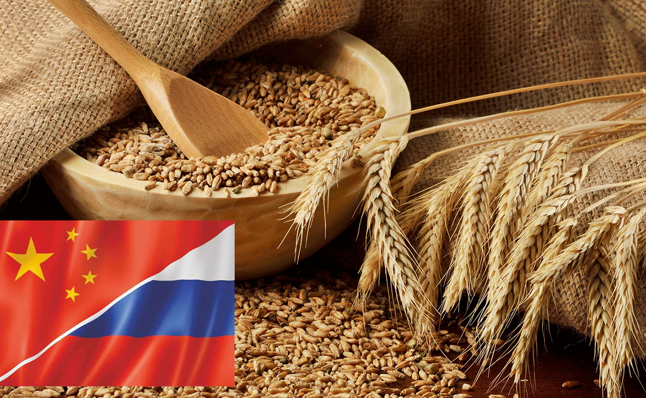 Губернатор обсудил перспективы поставки новосибирской яровой пшеницы в Китай с руководством Cofco Trading Ltd