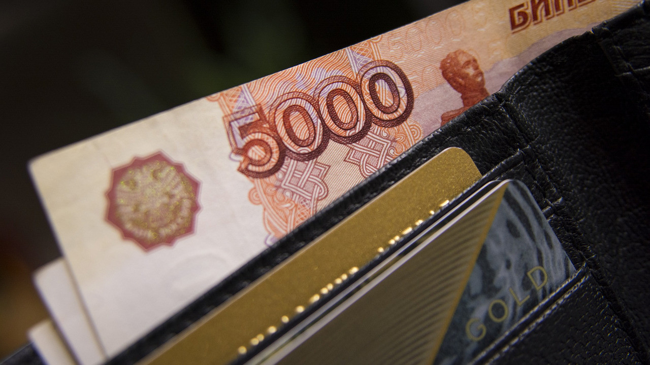 Работодатели Новосибирской области выплатили 370 млн задержанной заработной платы