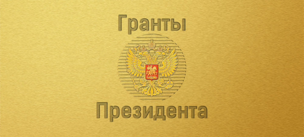 Более 50 некоммерческих организаций Новосибирской области получат гранты Президента РФ