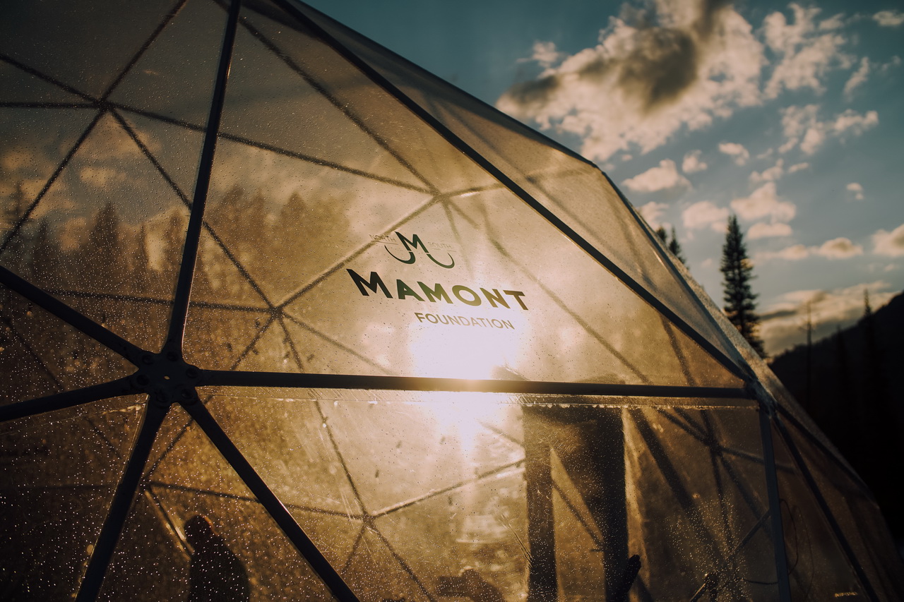 Звёздный глэмпинг Mamont Camp на Алтае открывается для всех